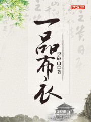一品布衣60-100集免费