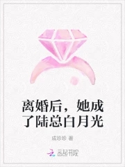 离婚后她成了万人迷齐羽汐