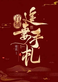 首辅追妻韩毅结局